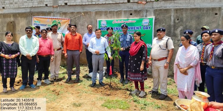 ଡି.ଏ.ଭି ପବ୍ଲିକ ସ୍କୁଲ, ନୟାଗଡ଼ ଓ ନୟାଗଡ଼ ଜିଲ୍ଲା ବନ ବିଭାଗ ଆନୁକୂଲ୍ୟରେ ବିଶ୍ୱ ପରିବଶେ ଦିବସ ପାଳନ ଅବସରଣରେ ବୃକ୍ଷ ରୋପଣ କାର୍ଯ୍ୟକ୍ରମ ଅନୁଷ୍ଠିତ